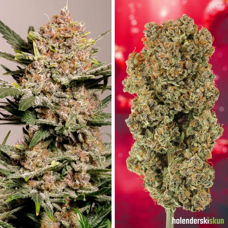 auto strawberry soda