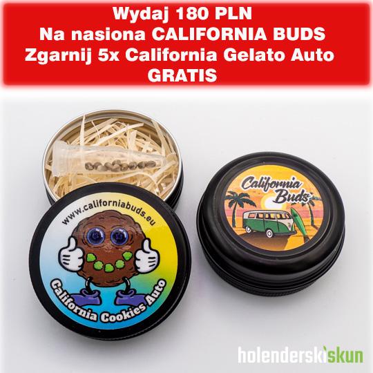 california cookies auto