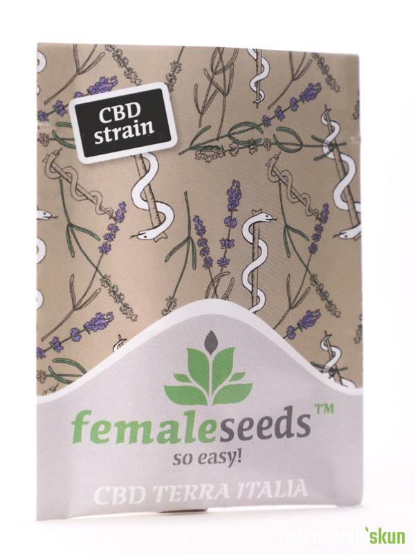 cbd terra italia