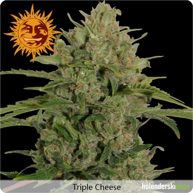 triple cheese™