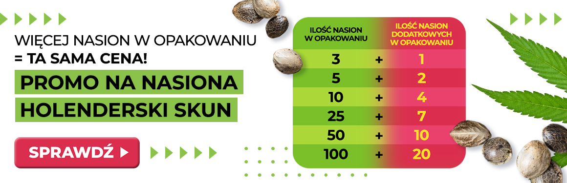 Nasiona Gratis Holenderski Skun