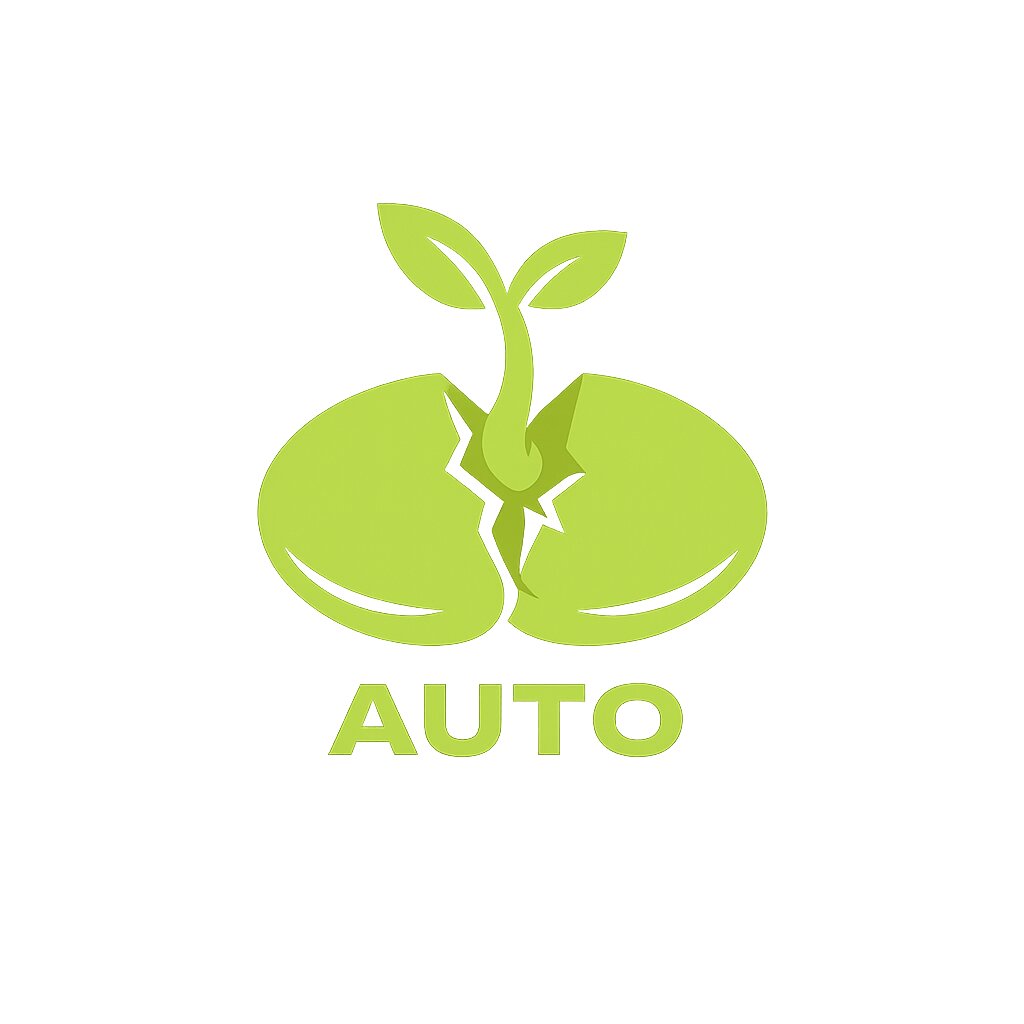 Top 10 Automatów
